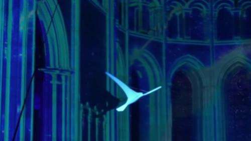 Spectacle : voyage à travers le temps lumineux et immersif à la cathédrale de Lyon