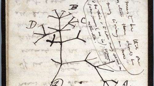 Disparus depuis vingt ans, deux précieux carnets de Darwin réapparaissent mystérieusement à l'université de Cambridge