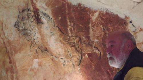 Bouches-du-Rhône : une réplique de la grotte Cosquer ouvrira le 4 juin à Marseille