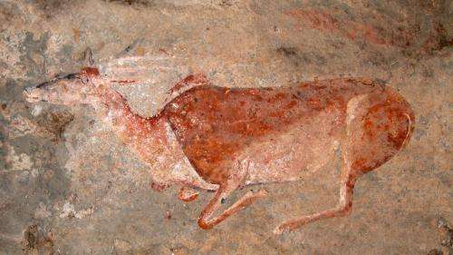 Des Vénus aux peintures rupestres : la richesse et l'universalité de l'art préhistorique au Musée de l'Homme