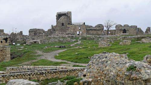 Séisme en Syrie : la citadelle d'Alep et d'autres sites archéologiques endommagés