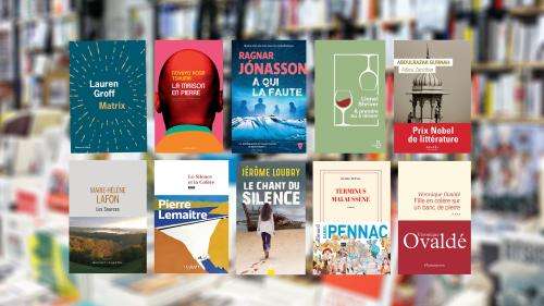 Rentrée littéraire d'hiver : cinq romans étrangers et cinq romans français à ne pas rater