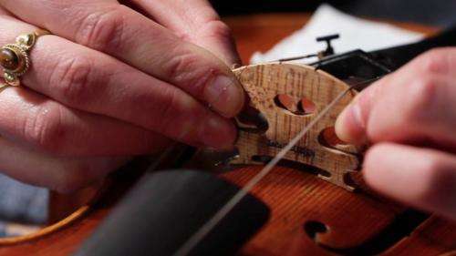 Artisanat : luthière, une vie en harmonie avec le violon