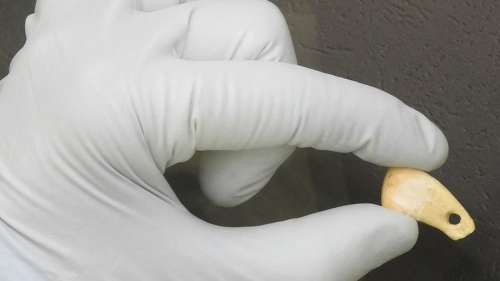 Archéologie : des chercheurs ont identifié la propriétaire d'un pendentif vieux de 20 000 ans