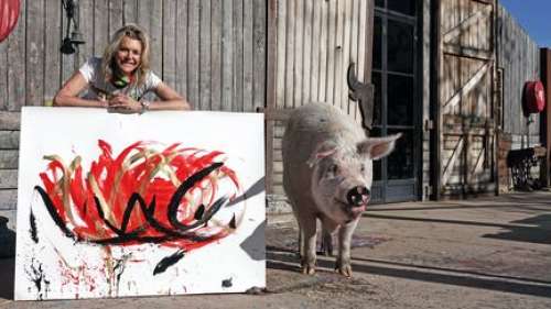 Pigcasso, un cochon qui peignait des tableaux, est mort
