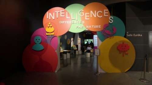 À Rennes, une exposition pour tout savoir sur l'intelligence du vivant... et la vôtre