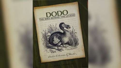 Paris : un couple de dodos ressuscité à l’occasion des 30 ans du Museum national d’histoire naturelle