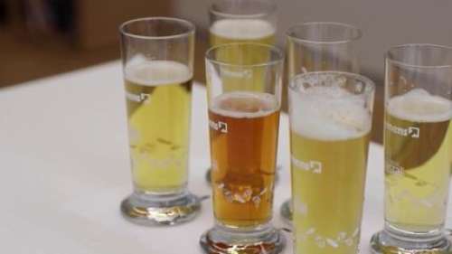 Écoles extraordinaires : à Munich, des élèves deviennent sommeliers de la bière