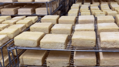 Gastronomie : les secrets de fabrication du maroilles, roi des fromages du Nord