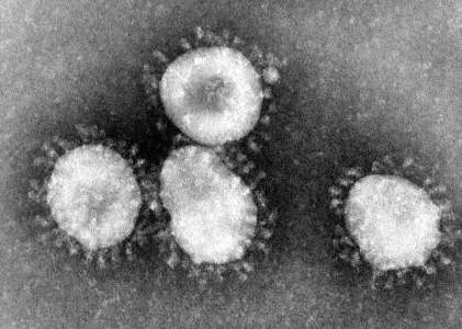 Le coronavirus au Japon - Conseils aux voyageurs sur le nouveau virus Covid-19