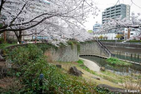 Shakujii-gawa - La rivière aux cerisiers au nord-ouest de Tokyo