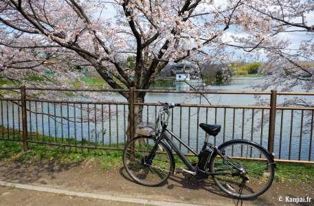 Louer un vélo au Japon - Visiter l'archipel en transport doux