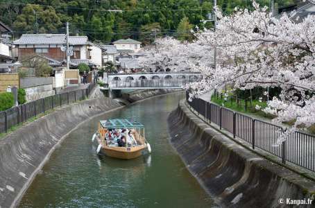 Canal Yamashina du Lac Biwa - Les cerisiers et fleurs de colza à Kyoto