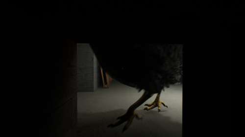 Chicken Feet : Le jeu d’horreur avec un poulet géant sortira le 25 octobre