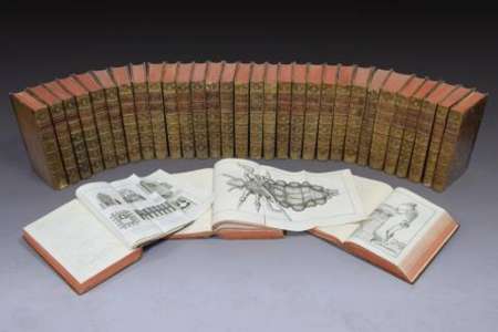 Enchères	            La riche collection de livres anciens d'un habitant de Vierzon en vente ce samedi, à Tours