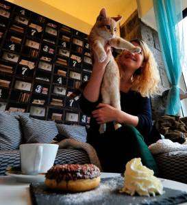 Société					Estelle veut ouvrir un bar à chats à Bourges, un concept venu du Japon