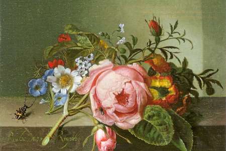 Comment Rachel Ruysch conservait les fleurs pour mieux les peindre