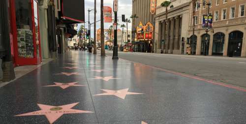 Paul Walker : L’acteur recevra une étoile sur le célèbre Hollywood Walk of Fame à titre posthume