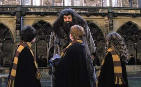 Harry Potter : un clin d’œil à Hagrid dans le jeu Hogwarts Legacy ?