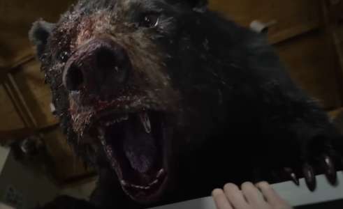 Cocaïne Bear : c’est quoi cette comédie adaptée d’une histoire vraie avec un ours défoncé ?