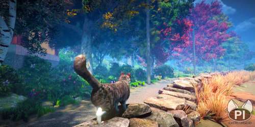 Dans le jeu vidéo peace island, vous incarnez un chat dans un monde ouvert