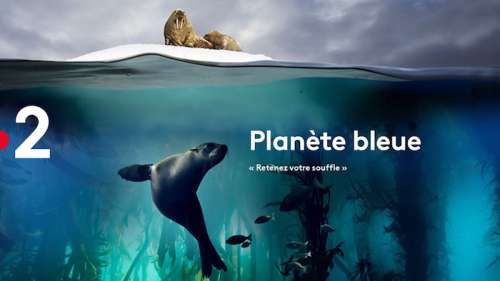 Ce soir sur France 2  : « Planète bleue  : au coeur des océans » (vidéo)