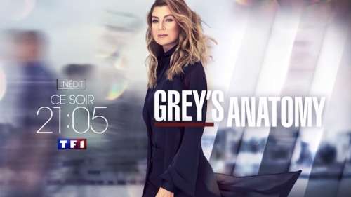 « Grey’s Anatomy »  saison 17 : dès le 26 janvier 2022 sur TF1