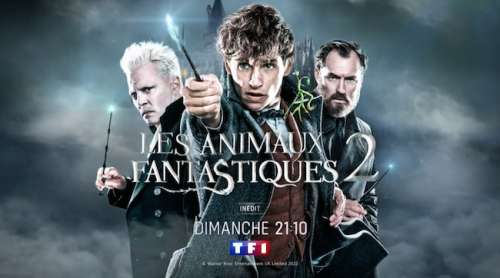 «  Les animaux fantastiques : les crimes de Grindelwald » : ce soir sur TF1 (dimanche 17 avril 2022)