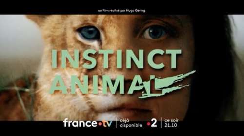 « Instinct animal » avec Julie de Bona, c’est ce soir sur France 2 (27 décembre 2022)