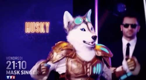 Mask Singer : qui se cache dans le costume du Husky ? Indices !
