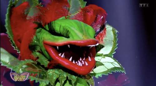 Mask Singer : la Plante Carnivore démasquée, qui s’y cachait ? Réponse ! (VIDEO)