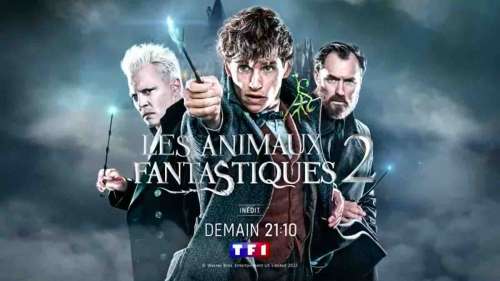 « Les animaux fantastiques : Les crimes de Grindelwald »  : le film ce soir sur TF1 (21 avril 2024)