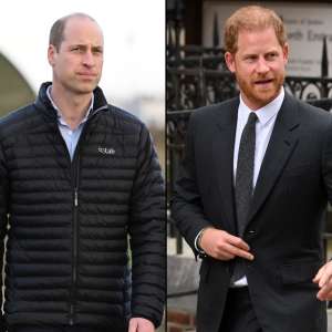 Les princes William et Harry apparaissent séparément pour le prix Princess Diana