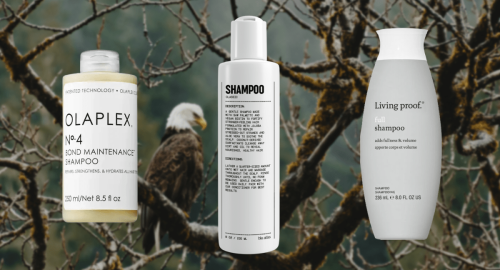 12 Best Shampoos and Conditioners For Hair Loss