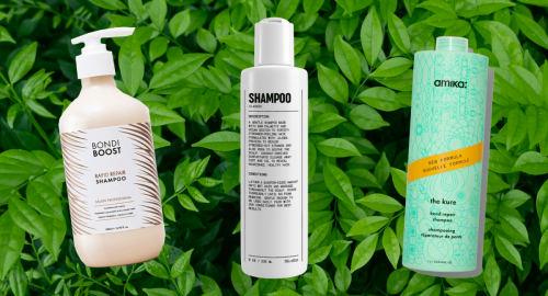 10 Best Shampoos for Breakage in 2023