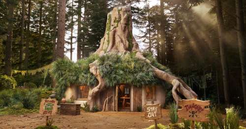 Airbnb présente le marais de Shrek, avec ses toilettes extérieures