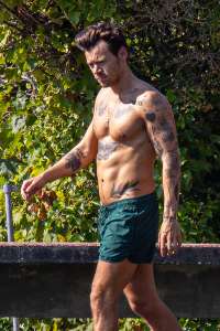 Harry Styles montre des abdominaux toniques en nageant dans de nouvelles photos